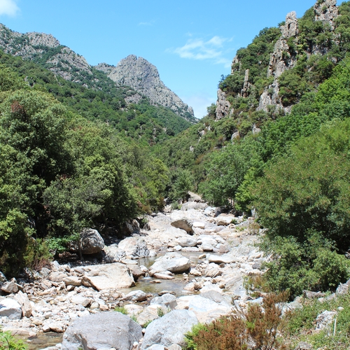 Urlaub Frankreich 2015 (38)